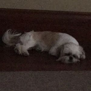 Meet your Posher, Kelly